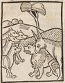 Löwe, Esel und Wölfe (Druck 1490, 18r)