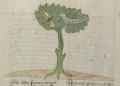 Ameise, Nachtigall und Biene (MS 653, 213r)