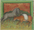 Pferd und Ochse (MS Egerton 1121, 17v)