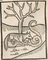 Fuchs und Schlange (Druck 1490, 25v)