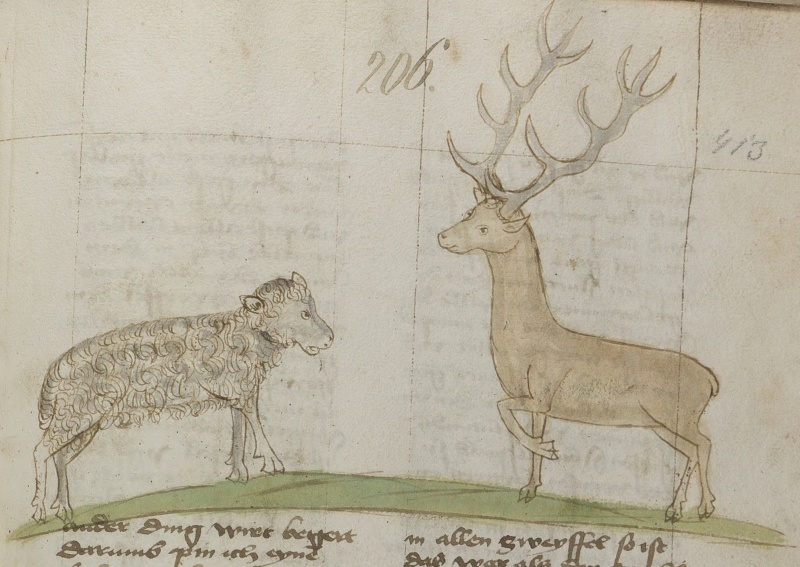 Datei:Schaf und Hirsch (MS 653, 206r).jpg