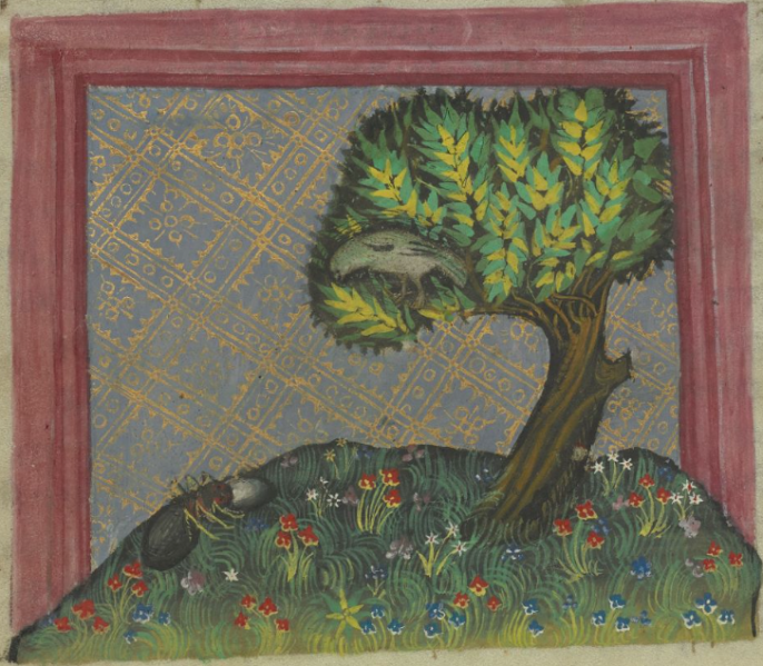 Datei:Ameise und Grille (MS Egerton 1121, 5v).png