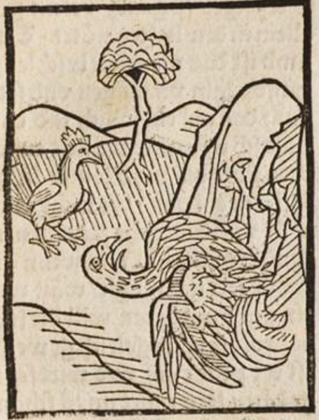 Datei:Strauß und Henne (Druck 1490, 23r).jpg