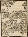 Fuchs und Affe II (Druck 1490, 69v)