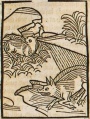 Katze und Schwein (Druck 1490, 98r)