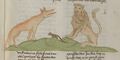 Löwe und Maus (MS 653, 182r)