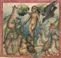 Rabe, Fuchs und Affe (Cgm 254, 3r)