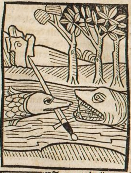 Datei:Zwei Fische (Druck 1490, 47r).jpg