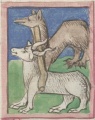 Ochse und Wolf I (Cgm 9602, 13r)