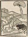 Löwe und Maus (Druck 1490, 19v)
