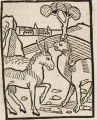 Maulpferd und Maulesel (Druck 1490, 50r)