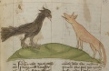 Rabe und Fuchs II (MS 653, 235r)