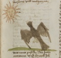 Adler und Sonne (MS 653, 164r)