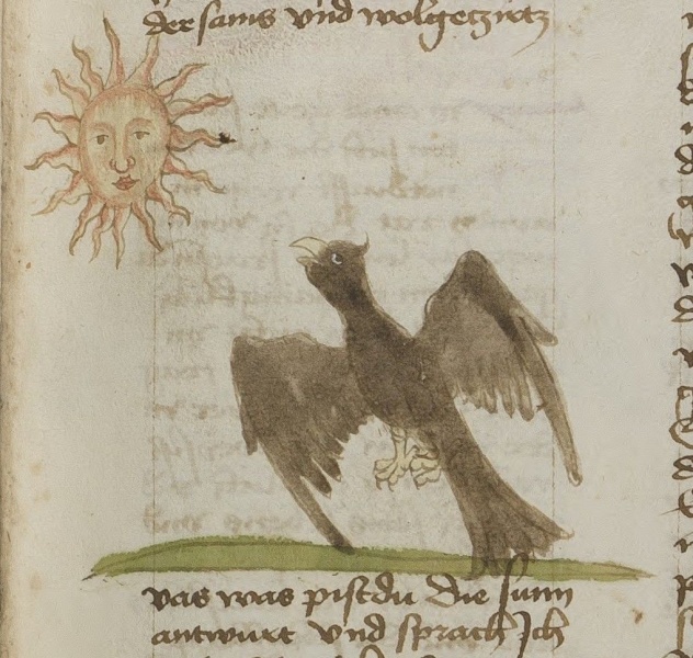 Datei:Adler und Sonne (MS 653, 164r).jpg