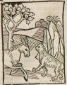 Affe und Waldesel (Druck 1490, 61v)