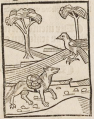 Wissbegieriger Fuchs und Rabe (Druck 1490, 3r)