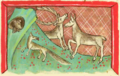 Bär, Fuchs und Hirschkuh (Mgf 459, 89v)