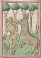 Affe und Waldesel (Cgm 9602, 55r)
