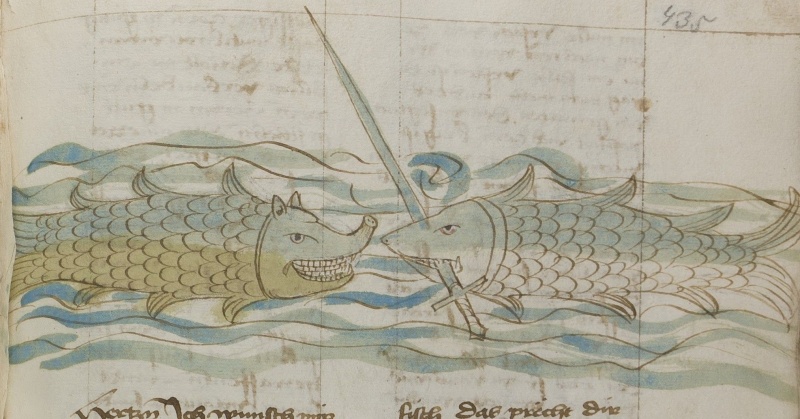 Datei:Zwei Fische (MS 653, 217r).jpg