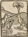 Rabe und Fuchs I (Druck 1490, 58v)