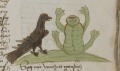 Rabe und Frosch (MS 653, 179r)