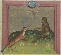 Fuchs und Affe I (MS Egerton 1121, 12v)