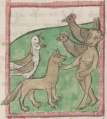Affe und Fuchs I (Cgm 9602, 46v)