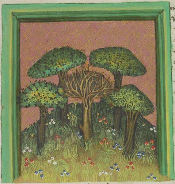Datei:Lorbeer, Ölbaum, Lärche, Palme und Feigenbaum (MS Egerton 1121, 41r).png