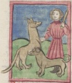 Hund und Wolf I (Cgm 9602, 87v)