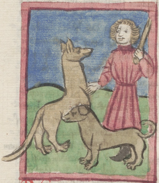 Datei:Hund und Wolf I (Cgm 9602, 87v).jpg