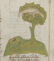 Ameise und Grille (MS 653, 165v)