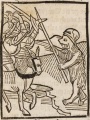 Pferd und Maulesel (Druck 1490, 34r)