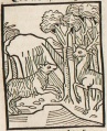 Schaf und Hirsch (Druck 1490, 37v)