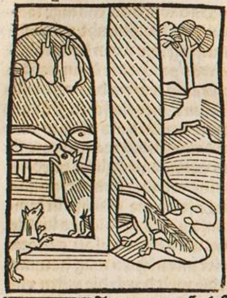 Datei:Fuchs und Wiesel I (Druck 1490, 80r).jpg