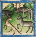 Bär, Fuchs und Hirschkuh (Cgm 254, 32r)