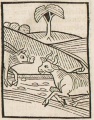 Ochse und Schwein (Druck 1490, 12v)