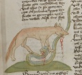Fuchs und Schlange (MS 653, 190v)