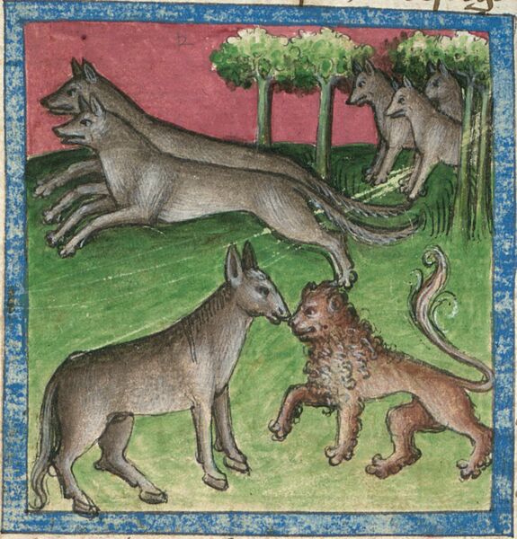 Datei:Löwe, Esel und Wölfe (Cgm 254, 13v).jpg
