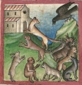 Fuchs als Pilger (Cgm 254, 19v)
