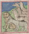 Löwe, Esel und Wölfe (Cgm 9602, 14v)