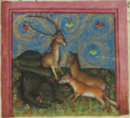 Bär, Fuchs und Hirschkuh (MS Egerton 1121, 56r)
