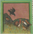 Fuchsmönch, Rabe und Hennen (MS Egerton 1121, 19r)