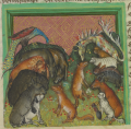Fuchs als Pilger (MS Egerton 1121, 36r)