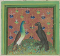 Rabe und Pfau (MS Egerton 1121, 105r)