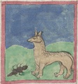 Ameise und Fuchs (Cgm 9602, 9v)