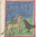 Rabe und Fuchs I (Cgm 9602, 53r)