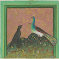 Pfau und Rabe (MS Egerton 1121, 81v)