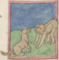 Fuchs und Affe II (Cgm 9602, 62r)