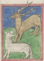 Schaf und Hirsch (Cgm 9602, 34v)