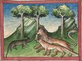 Löwe und Maus (Cgm 254, 15r)